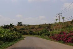 HCM City landfill grows into orchard
