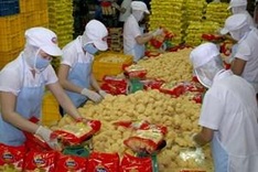 HCM City to need 265,000 workers in 2014