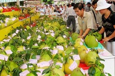 Real estate firms adopt sideline businesses amid slump