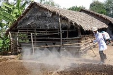Health sector warns of H7N9 outbreak in Vietnam