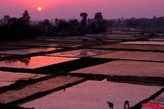 Vietnamese-European documentary film festival set to open