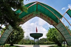 The longest path through the melaleuca forest of Vietnam