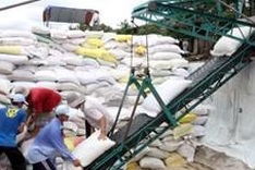 Vietnam takes part in Philippines rice tender