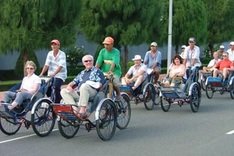 Vietnamese travel firms working for foreigners on home market