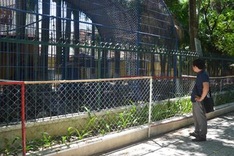 Danang park zoo closure proposed