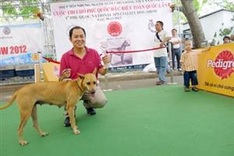 Looking for development of the Phu Quoc dog breed