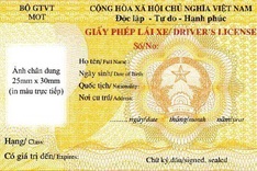 15 provinces to issue new driving licences