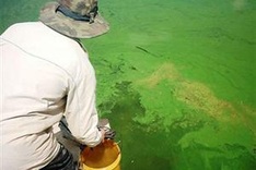 Dalat's Tuyen Lam Lake at risk