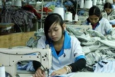 January exports reach USD6.5 billion