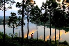 Historical site in Hue under threat