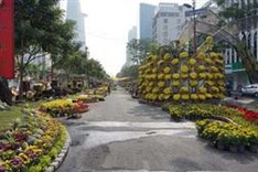 Flower Road opens in HCM City