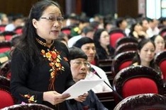NA debates revised Constitution
