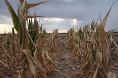 2013 sixth-hottest year, confirms long-term warming: UN