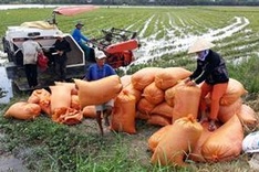 Workshop focuses on food security