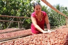 NGOs commit USD165.5 million to Vietnam by 2012