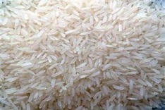 9,880 tonnes of rice in relief aid for 7 provinces