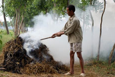 Stubble burning a threat to human health