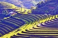 Tourism week kicks off in Mu Cang Chai