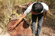 National park ravaged by loggers