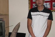 Vietnam fights to stop medical rhino horn myth