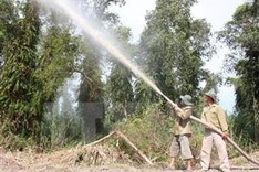 Ca Mau’s U Minh Ha cajuput forest temporarily closed