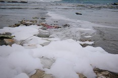 Vietnam looks to lessen toxic chemical use