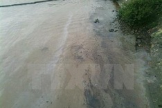 Six tonnes of oil cleaned from Quang Tri beach
