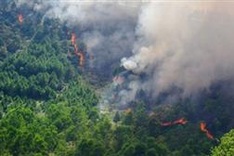 Prolonged drought increases forest fire risks