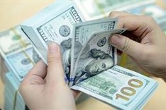 Remittances to hit US$5.2 billion this year