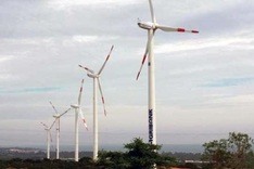 Vietnamese environmental record holders announced