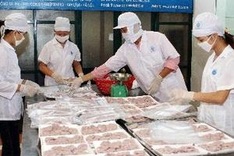 EC delegation launches 2012 Blue Book