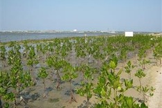 Mekong Delta ready for fight against climate change