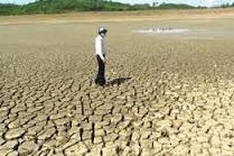 Ninh Thuan declares drought emergency