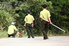 Fierce monkey attacks tourists in Danang
