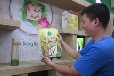 Complaints over expensive rice export licences