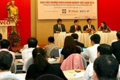 Annual report on Vietnamese businesses unveiled