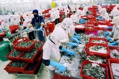 Seafood exports forecast to top $8b mark in 2015