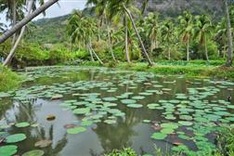 Con Dao park gets World Ramsar site status