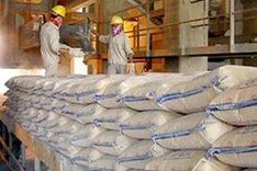 Vietnam largest cement company under investigation for embezzlement