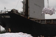 Vietnam will export 7.5 million tonnes of rice in 2013