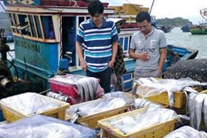 Draft regulation threatens expulsion and fines for foreign seafood traders