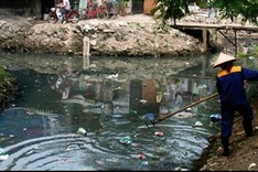 The green lungs in Hanoi dying