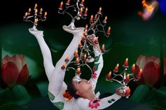 Famous Chinese circus goes on tour in Vietnam