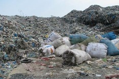 Untreated waste piles up at landfill