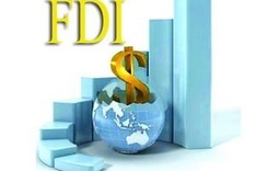 13-14 billion USD in FDI expected in 2013