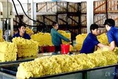 India being Vietnam’s 10th largest trade partner