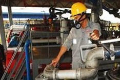 Ministry cuts petroleum imports