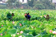 Vietnam’s landscapes and people to appear on German TV show