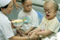 Lawyers back Vietnamese AO victims