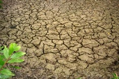Climate change aid expected to reach USD248 mln